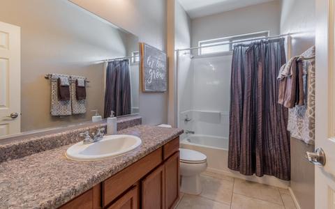 17526 S Garden Sage Loop, Vail, AZ 85641 photo 22