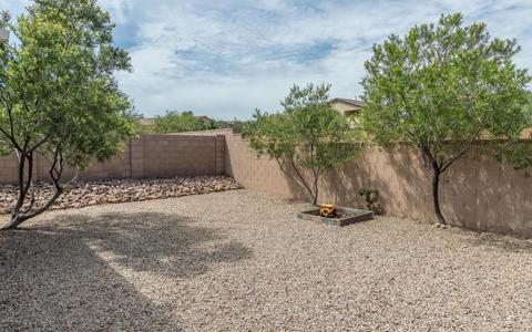 17526 S Garden Sage Loop, Vail, AZ 85641 photo 27