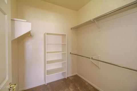 12693 E Red Iron Trl, Vail, AZ 85641 photo 7