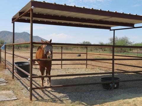 4961 E Dragoon Rd, Dragoon, AZ 85609 photo 37