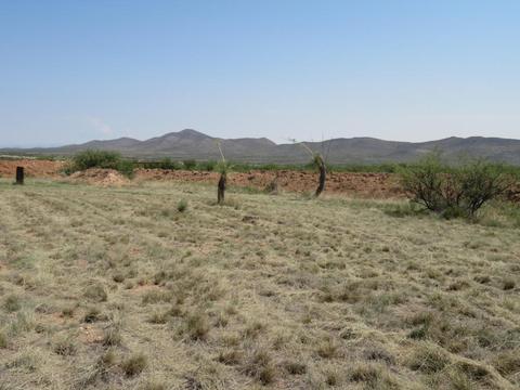4961 E Dragoon Rd, Dragoon, AZ 85609 photo 45