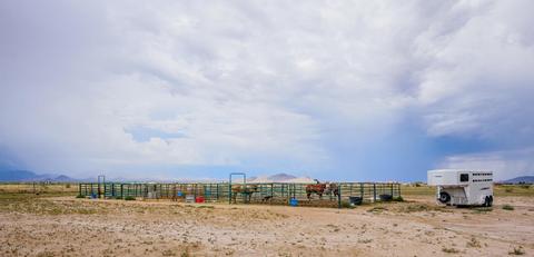 5274 W Coffman Pl, Willcox, AZ 85643 photo 8