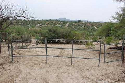 4487 E Wilds Rd, Tucson, AZ 85739 photo 15