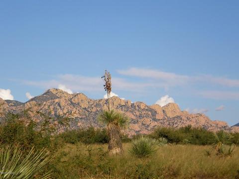 5266 E De Vaca Cir, Saint David, AZ 85630 photo 45