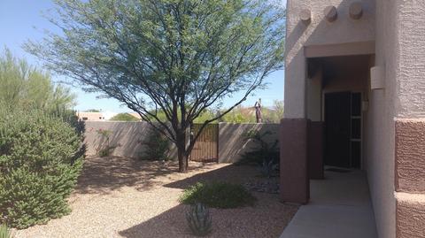 14455 E Madrona Station Pl, Vail, AZ 85641 photo 5