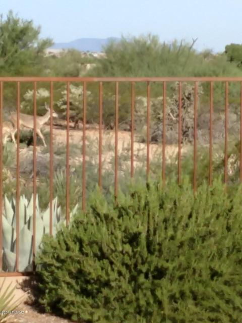 14455 E Madrona Station Pl, Vail, AZ 85641 photo 34