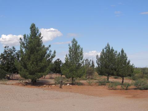 1374 E School Rd, Pearce, AZ 85625 photo 6