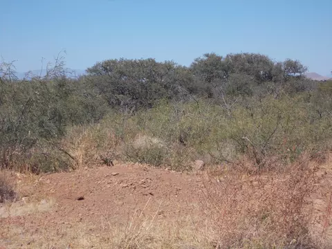 8901 E Highway 181, Pearce, AZ 85625 photo 9