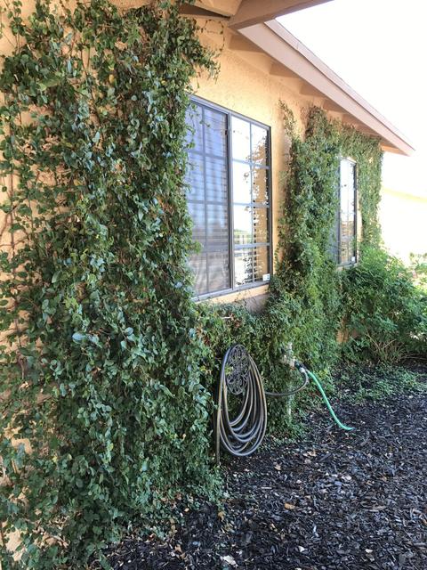 6887 N De Chelly Loop, Tucson, AZ 85741 photo 4