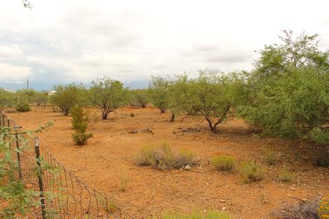 3031 E Cardenas Dr, Vail, AZ 85641 photo 8