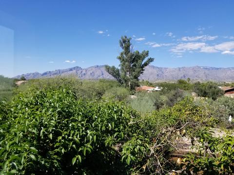 7523 E Beach Dr, Tucson, AZ 85715 photo 24
