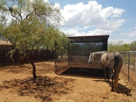 4530 Edwin Rd, Tucson, AZ 85739 photo 34