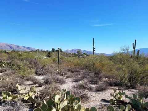 9762 E Morrill Way, Tucson, AZ 85749 photo 4