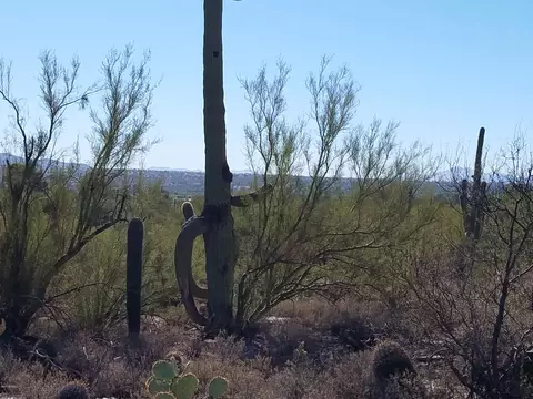9762 E Morrill Way, Tucson, AZ 85749 photo 3