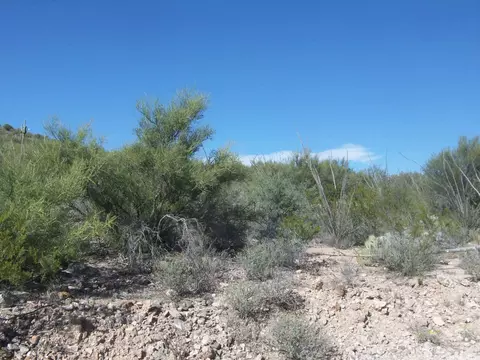 15606 E Colossal Cave Rd, Vail, AZ 85641 photo 1