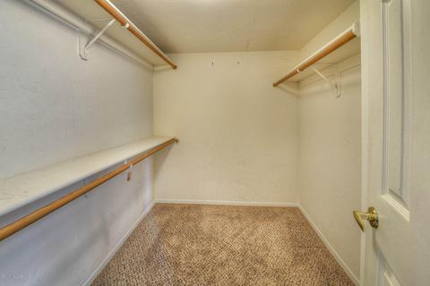 536 E Squirrel Tail Dr, Tucson, AZ 85704 photo 27