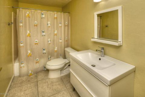 536 E Squirrel Tail Dr, Tucson, AZ 85704 photo 17