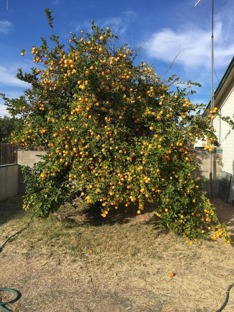 5647 E 30th St, Tucson, AZ 85711 photo 34