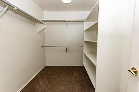 12776 E Hannah Trl, Vail, AZ 85641 photo 28