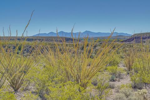 17250 E Marsh Station Rd, Vail, AZ 85641 photo 43