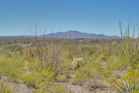 17250 E Marsh Station Rd, Vail, AZ 85641 photo 42