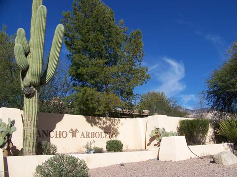 245 E Shadow Bluff Pl, Tucson, AZ 85704 photo 1