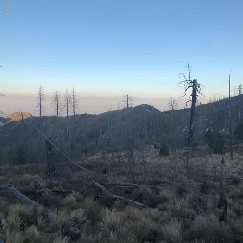 10991 E Ski Run Rd, Mount Lemmon, AZ 85619 photo 2