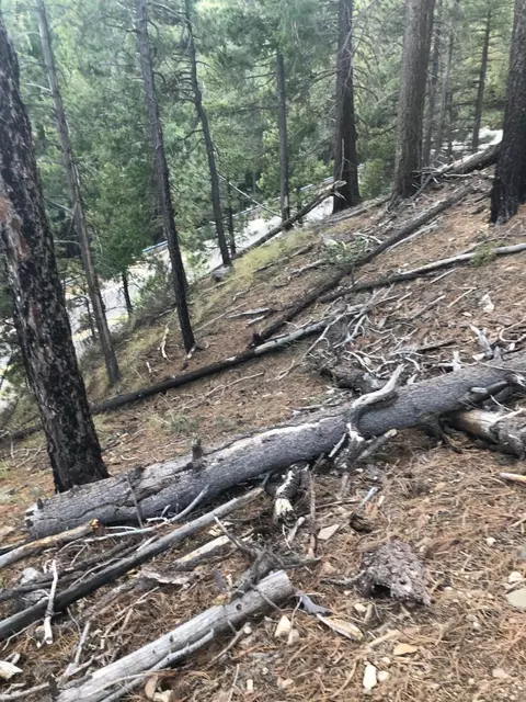 10991 E Ski Run Rd, Mount Lemmon, AZ 85619 photo 6