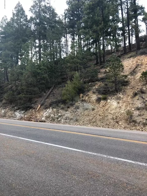 10991 E Ski Run Rd, Mount Lemmon, AZ 85619 photo 7