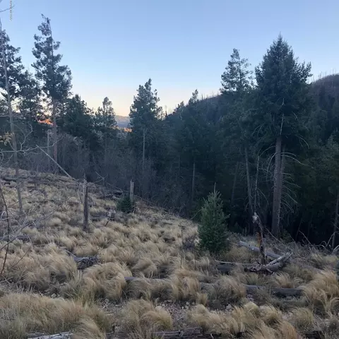 10991 E Ski Run Rd, Mount Lemmon, AZ 85619 photo 4