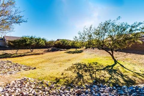 10542 E Dusky Willow Dr, Tucson, AZ 85747 photo 49