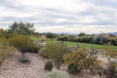 14031 E Bluff View Pl, Vail, AZ 85641 photo 32