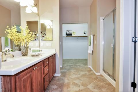 14031 E Bluff View Pl, Vail, AZ 85641 photo 16