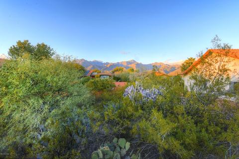 8251 E Cholla Dr, Tucson, AZ 85750 photo 41