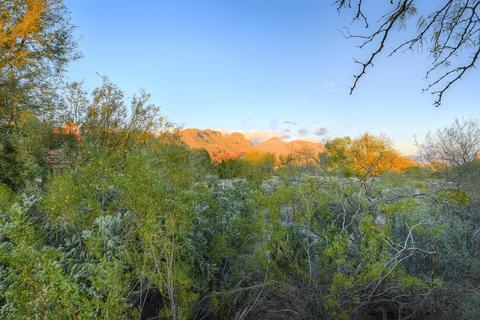 8251 E Cholla Dr, Tucson, AZ 85750 photo 40