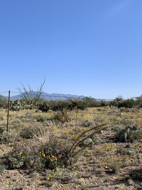 2801 E Iris Pl #29, Vail, AZ 85641 photo 3