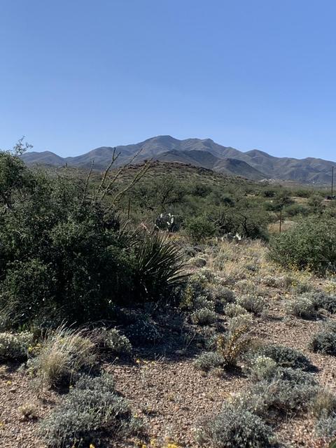 2801 E Iris Pl #29, Vail, AZ 85641 photo 5