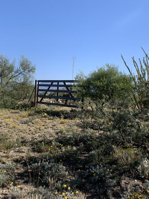2801 E Iris Pl #29, Vail, AZ 85641 photo 1