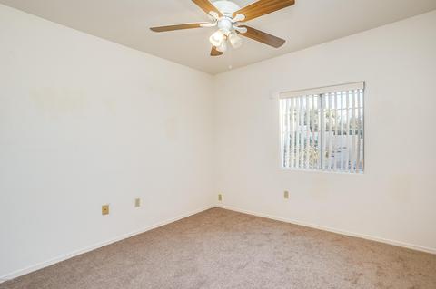 10710 E Migratory Pl, Tucson, AZ 85748 photo 16