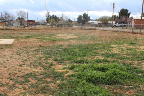 1100 E Justin St, Pearce, AZ 85625 photo 25