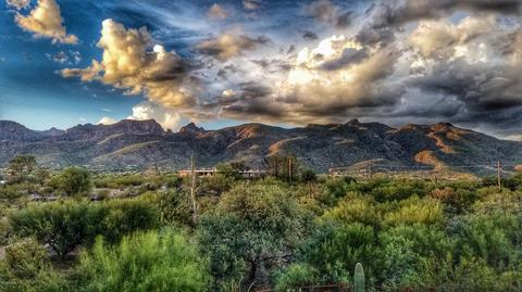 10050 E Walnut Tree Dr, Tucson, AZ 85749 photo 37