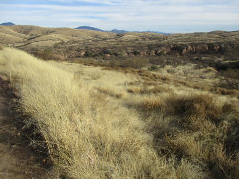 Tbd Aloha Loop, Nogales, AZ 85621
