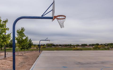 7165 E Bloomtree Ln, Tucson, AZ 85756 photo 24