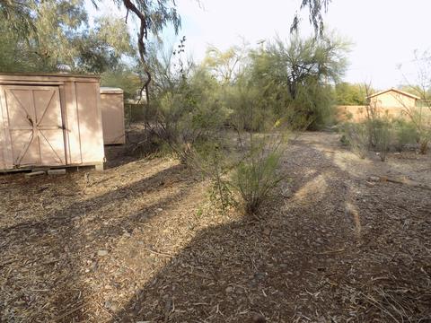 6391 E Printer Udell, Tucson, AZ 85710 photo 36