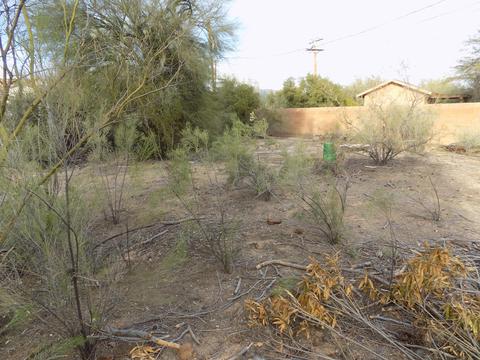6391 E Printer Udell, Tucson, AZ 85710 photo 40