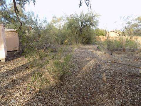 6391 E Printer Udell, Tucson, AZ 85710 photo 41