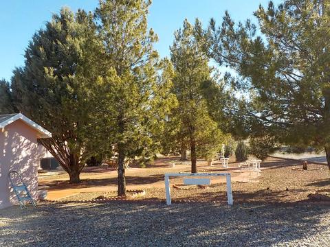 167 N Cholla Dr, Pearce, AZ 85625 photo 33