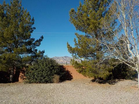 167 N Cholla Dr, Pearce, AZ 85625 photo 23