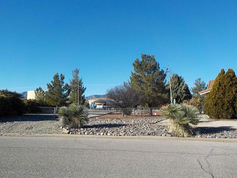167 N Cholla Dr, Pearce, AZ 85625 photo 20