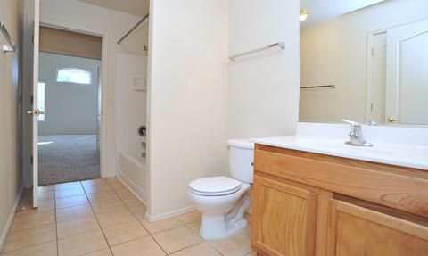 13252 E Mesquite Flat Spring Dr, Vail, AZ 85641 photo 20